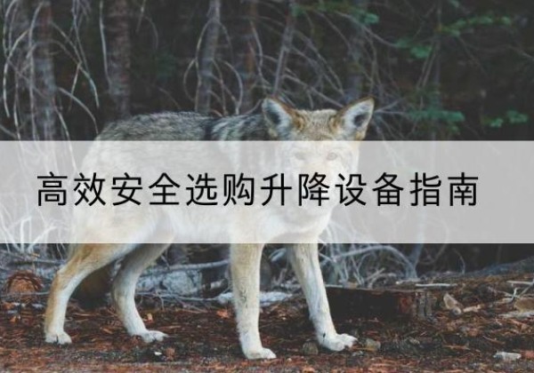 利州升降货梯厂家推荐-*安全选购升降设备指南