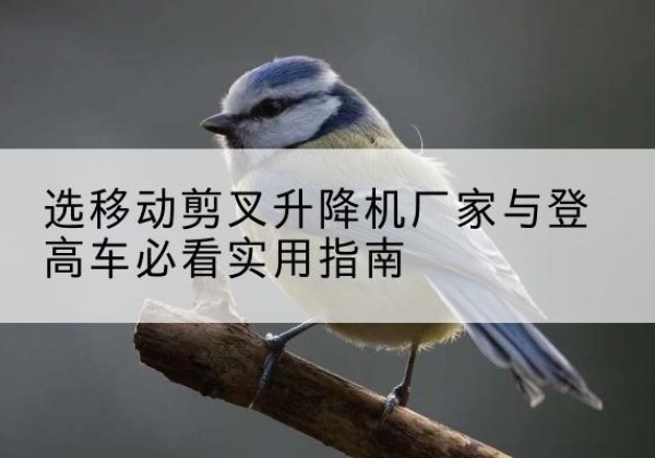 利州电动升降机厂家-选移动剪叉升降机厂家与登高车必看实用指南