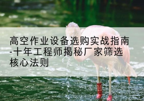 利州剪叉式升降机厂家-高空作业设备选购实战指南-十年工程师揭秘厂家筛选核心法则