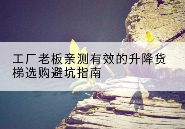 利州升降货梯怎么选-工厂老板亲测有效的升降货梯选购避坑指南